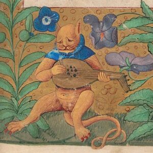 Cat playing the lute