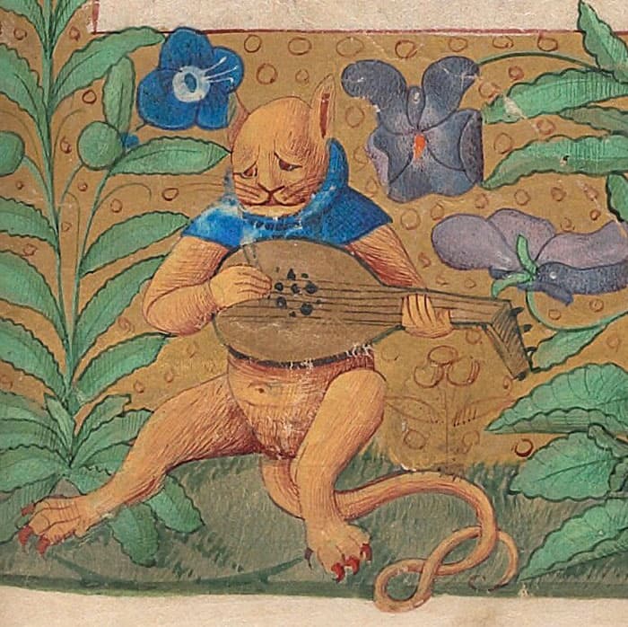 sad looking medieval art of a cat playing a lute