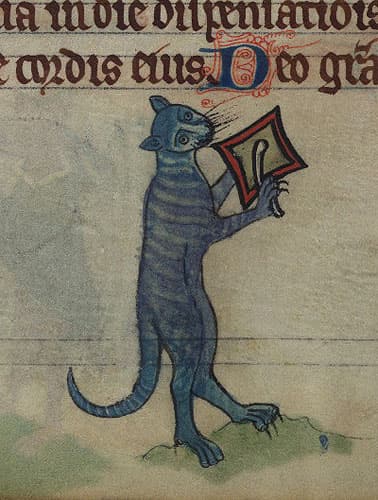 Medieval art of Cat playing a square frame drum (detail from a book of hours, ca. 1300 (Baltimore Walters Art Museum, MS. W.102, fol. 78v)
