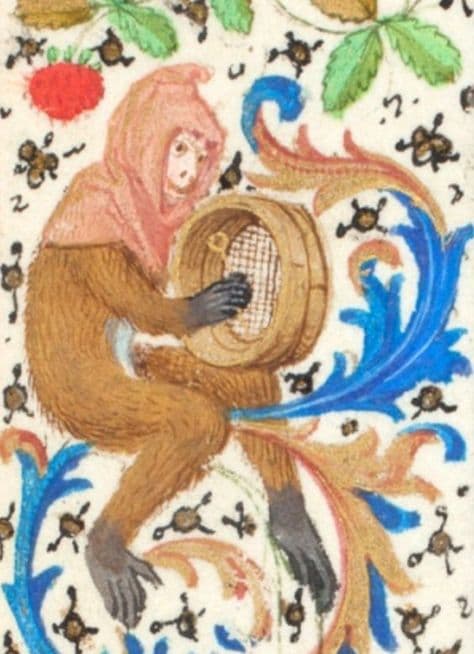 Monkey with frame drum- (Trivulzio Book of Hours (Koninklijke Bibliotheek))