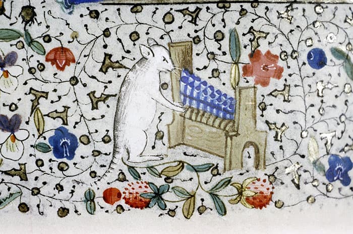 Medieval art of Cat playing a portative organ