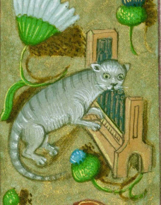 Medieval art of Cat playing a portative organ
