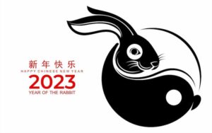 Chinese New Year banner of the rabbit