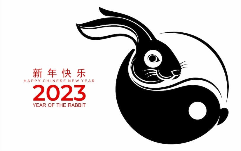Chinese New Year banner of the rabbit