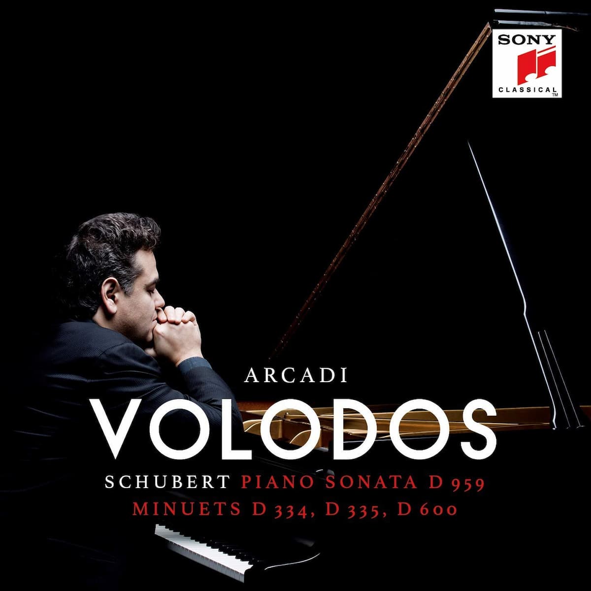 Album cover of Arcadi Volodos Plays Schubert (2019)