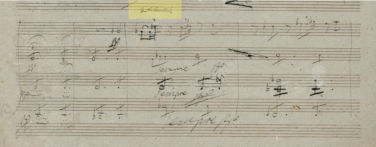 Beethoven's Op. 130 String Quartet: Cavatina: Adagio molto espressivo