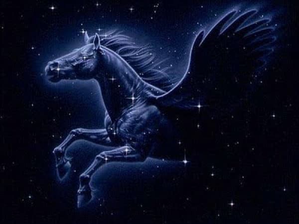 The Constellation Pegasus: The Star Horse