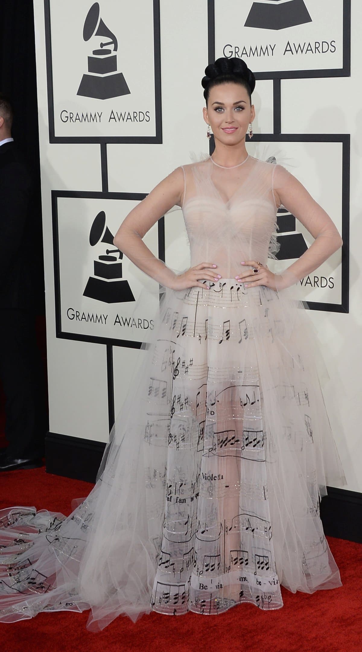 Katy Perry at the 2014 Grammy’s in Valentino