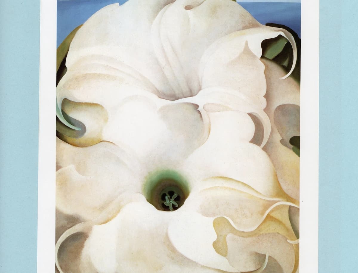 O’Keeffe: Two Jimson Weeds / Two Datura / Bella Donna (various titles) (Georgia O‘Keeffe Museum)