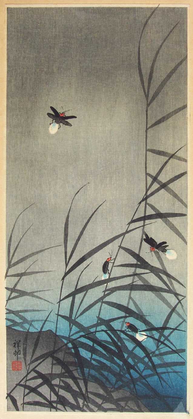 Koson: Fireflies, ca 1930