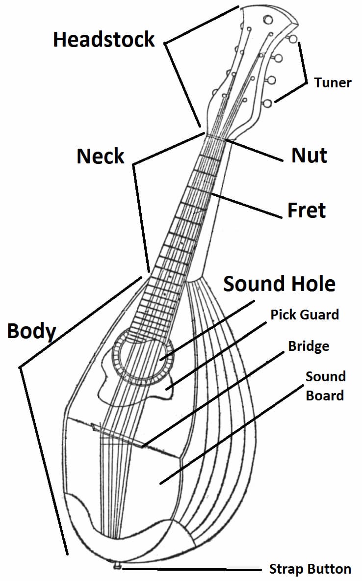parts of the mandolin
