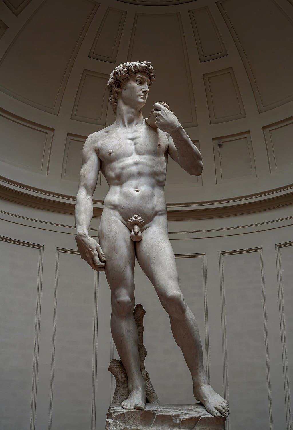Michelangelo’s “David” right view