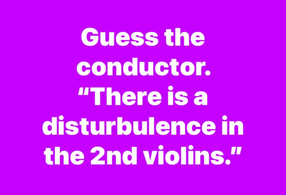 “There is a disturbulence in the 2nd violins.”