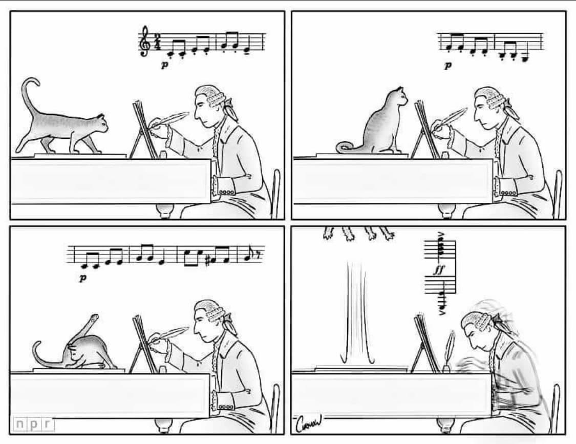 Haydn inspired by his cat music joke