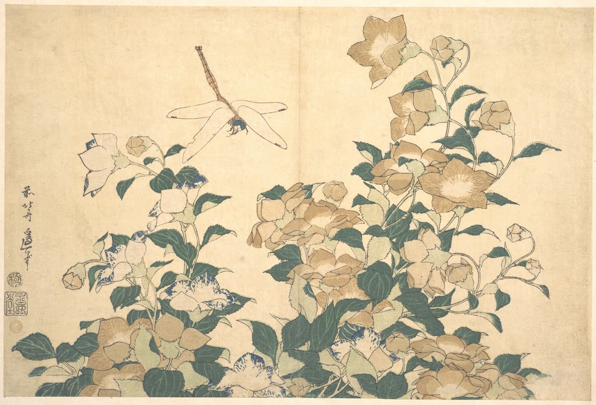 Hokusai: Dragonfly and Bellflower, late 1820s (Met Museum)