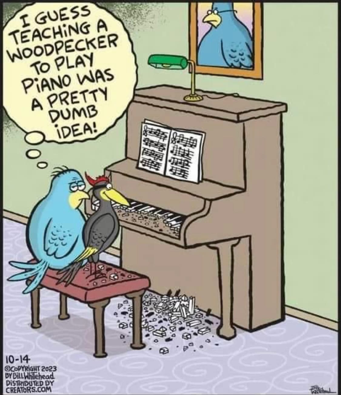 teaching a woodpecker piano