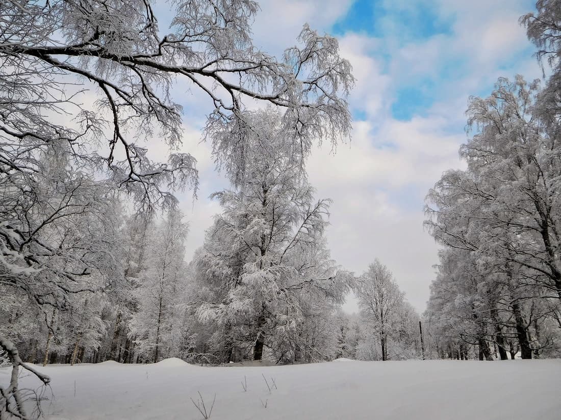 Winter snow in Finland