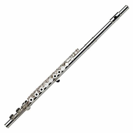 The Sweet and Virtuosic Flute