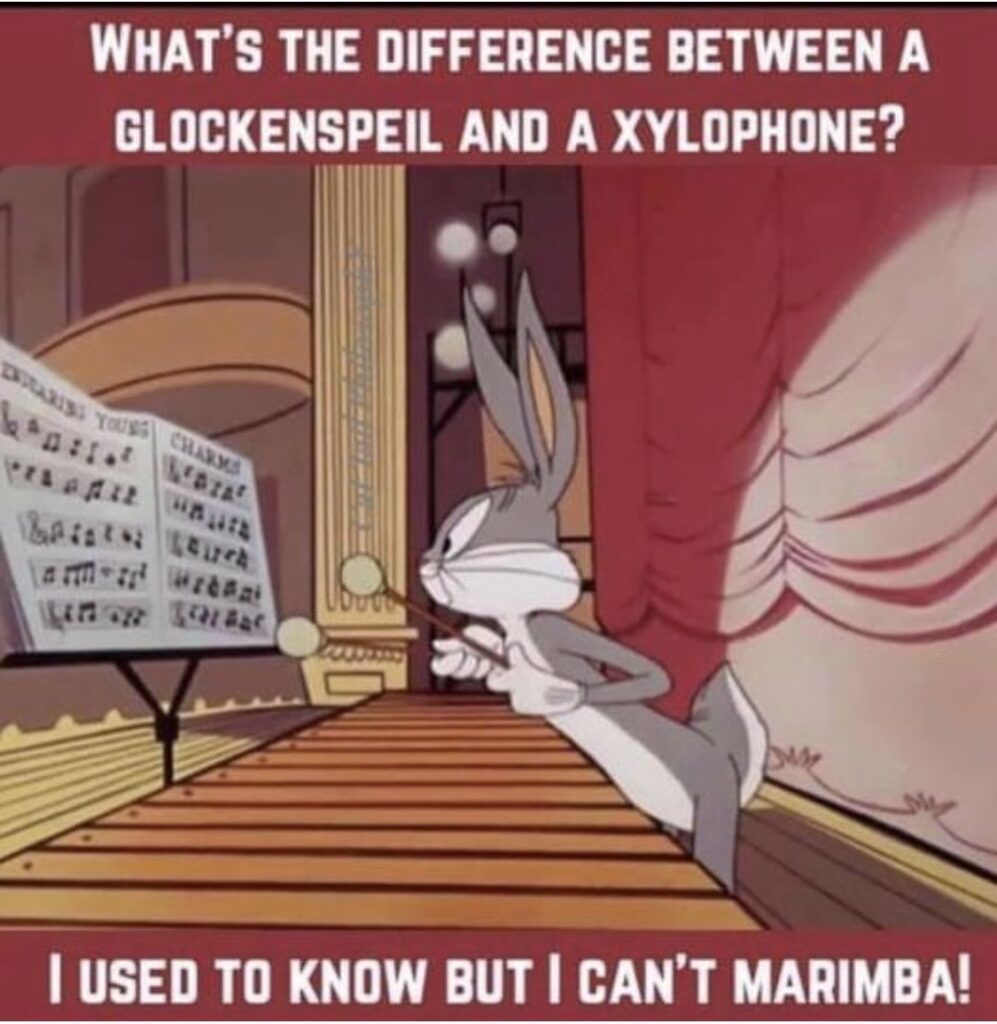 I Can't Marimba!