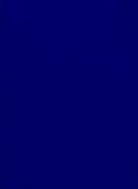 Yves Klein: Monochrome bleu (IKB 219) (Staatsgalerie Stuttgart)