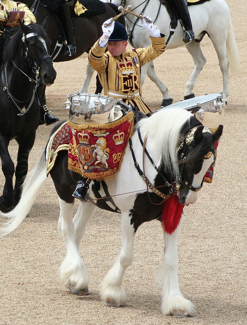 Drum Horse of the Queen’s Household Cavalry, 2007 (Photo by Ultra7)