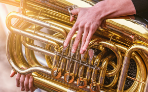 Idiosyncrasies of Brass Players and Why We Still Love Them: <em>The Tuba</em>
