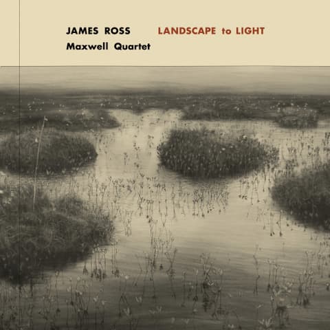 James Ross: Landscape to Light album cover