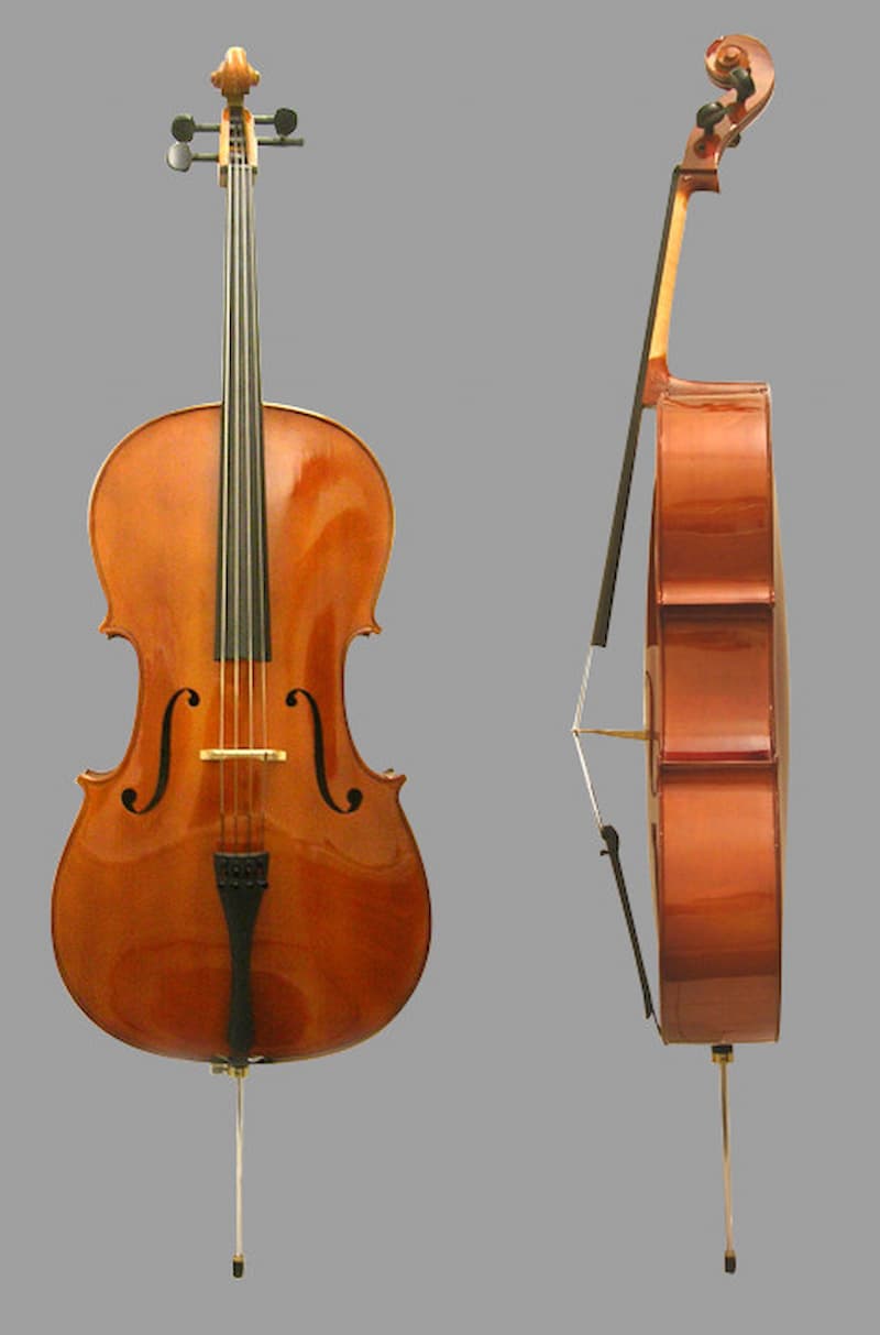 Big and Small All At Once: The Violoncello