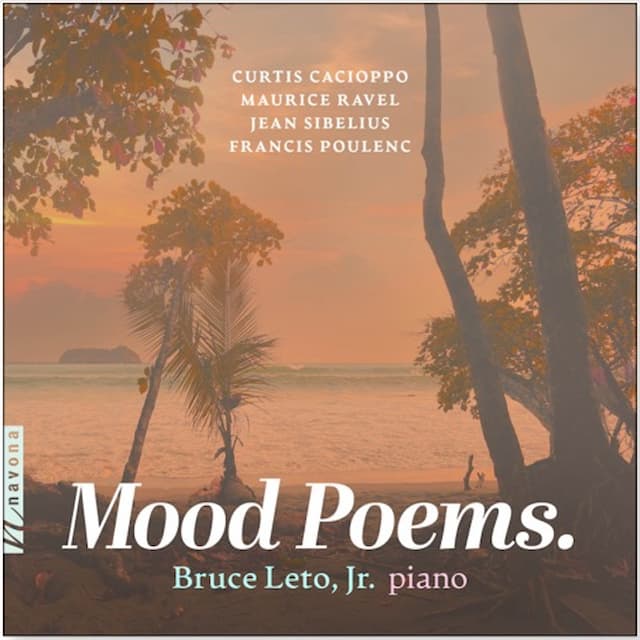 Mood Poems, Bruce Leto Jr. album cover