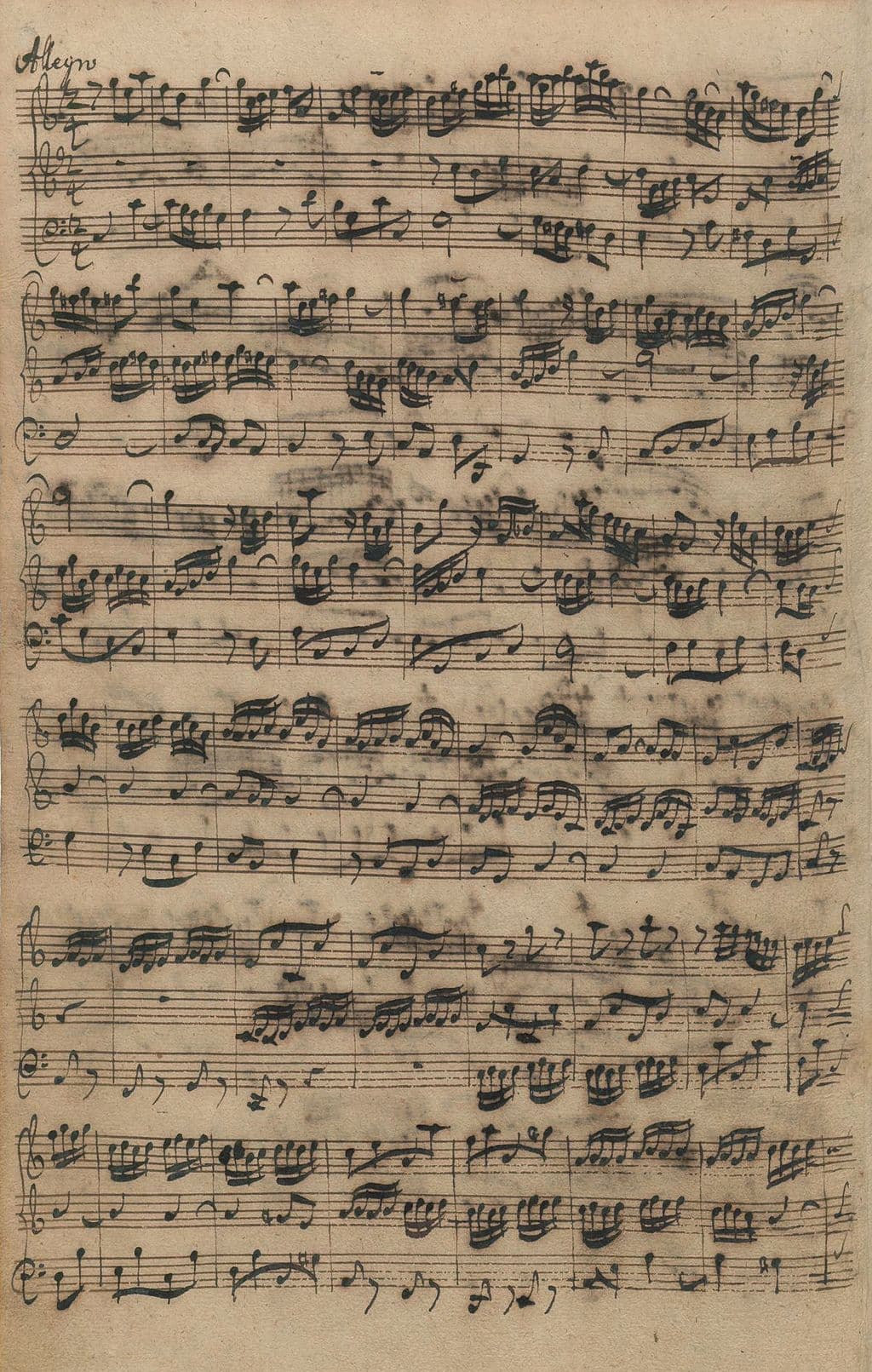 Bach's Organ Sonata No.5 in C major, BWV 529 - III. Allegro autograph score