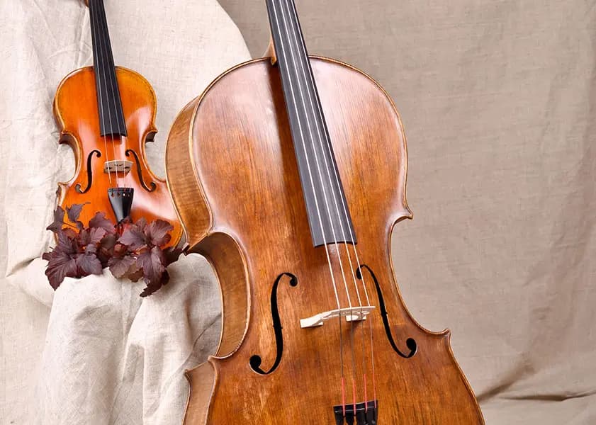 Violin vs. Cello: What's the Difference? And Which One Should I Play?