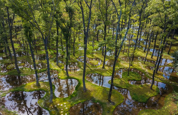 The Biotop Water Garden (Japan)