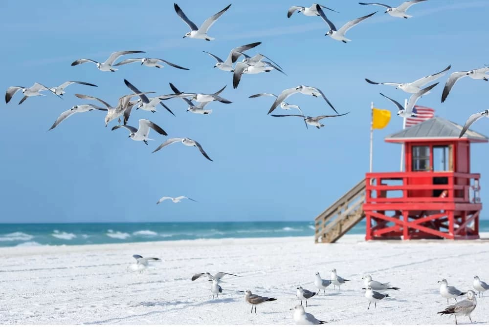 Morning at the Beach