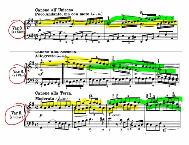 My favorite Canons and other Musical Puzzles II Bach Goldberg Variations