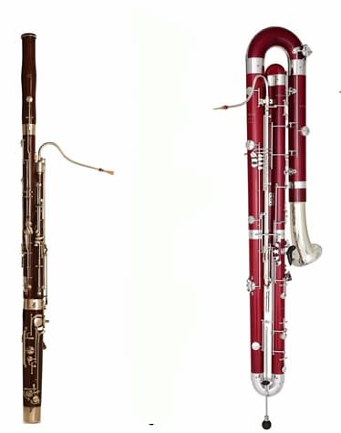 Bassoon and Contrabassoon