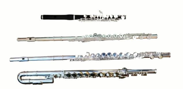 Piccolo (top), Concert Flute (middle) and Straight and Doubled-Back Alto Flutes (bottom)