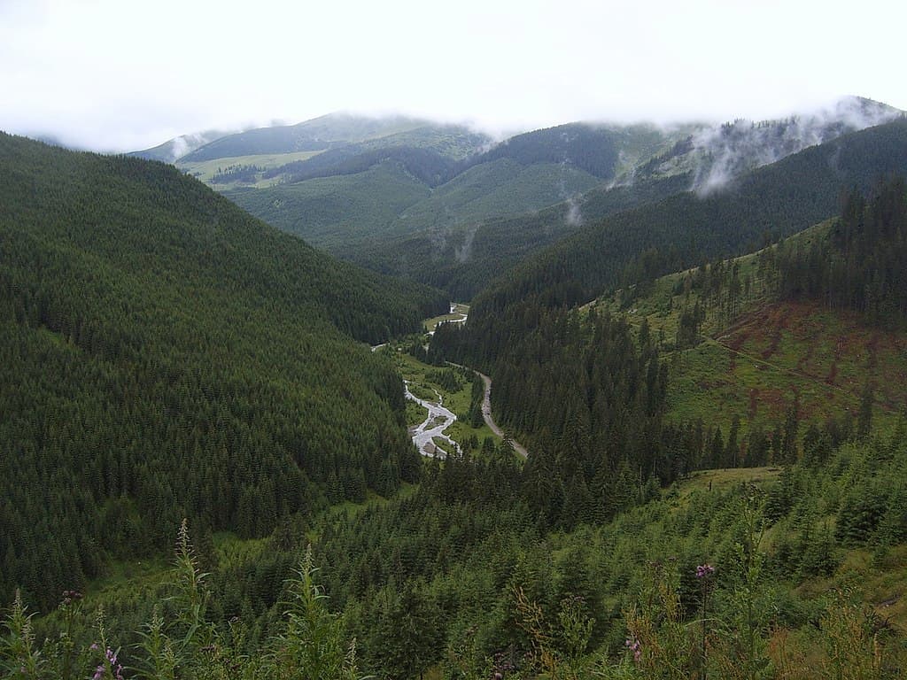 Prislop Pass, connecting Maramureș with Bukovina in northern Romania (photo by Vberger)