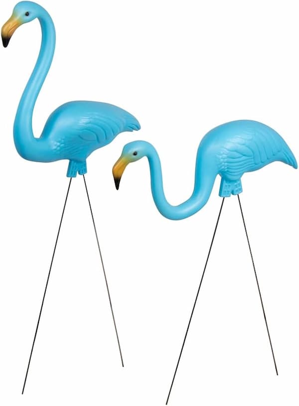 Blue Flamingos