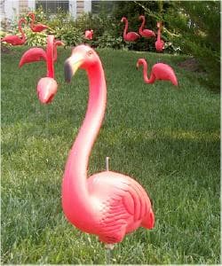 Don Featherstone: Pink Flamingo