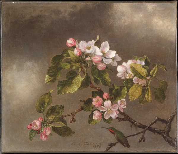 Head: Hummingbird and Apple Blossoms, 1875 (Met Museum)