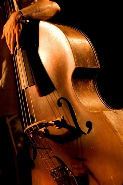 Double Bass