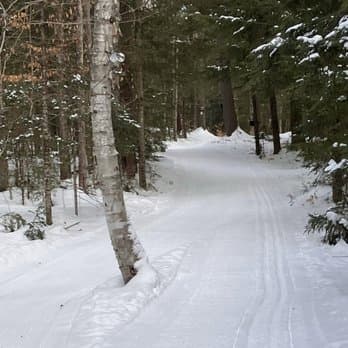 Cross-country skiing