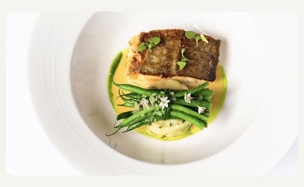 fine dining - fish with asparagus