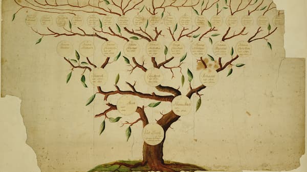 The Bach family tree