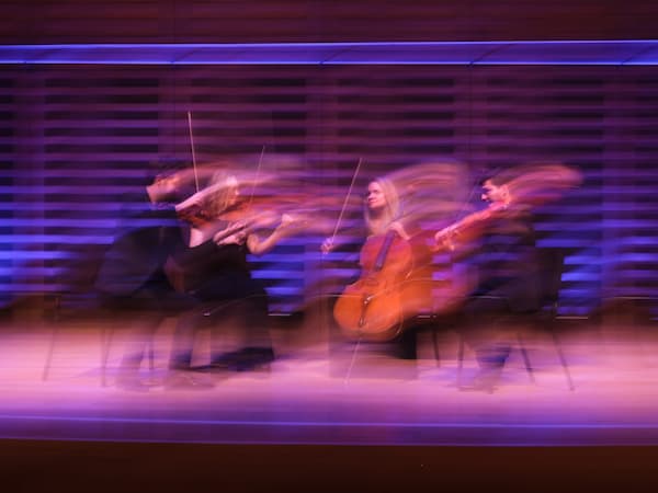 The Piatti Quartet