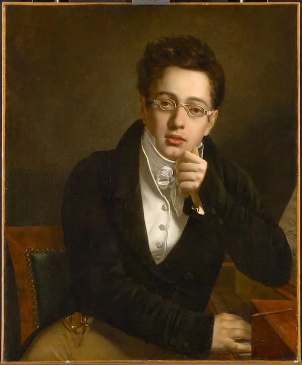 The Young Schubert