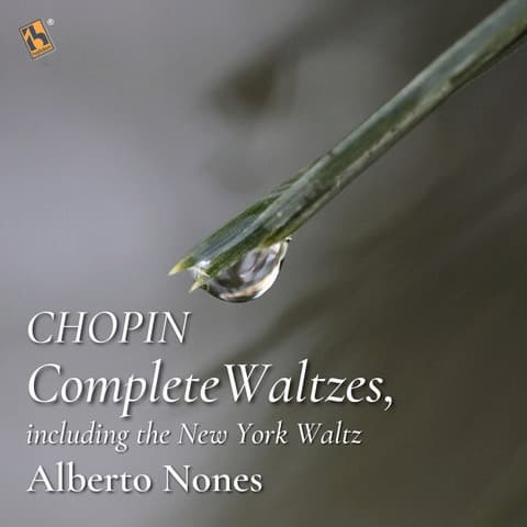 A Conversation with Alberto Nones: The Piano as a Mirror of the Human Spirit