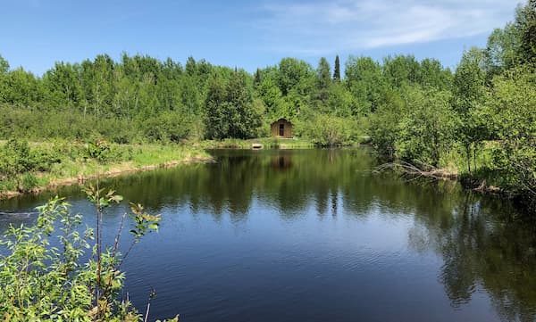 Pond