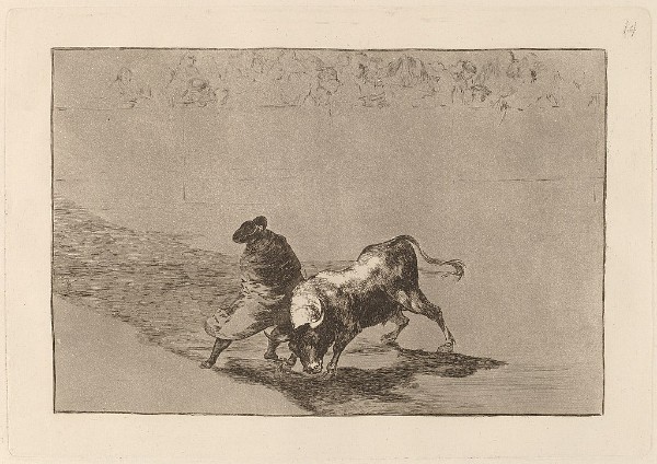 Goya: La Tauromaquia: Νο. 14: El diestrisimo estudiante de Falces, embozado, burla al toro con sus quiebros ("The dexterous student of Falces, embossed, tricks the bull with his breaks"), 1816 (Washington, DC: National Gallery of Art)