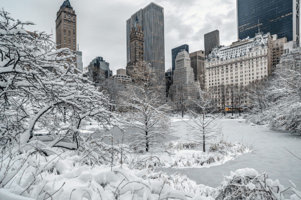 Snow in New York City